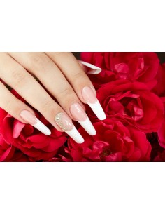 MANICURE + POSE COMPLÈTE...